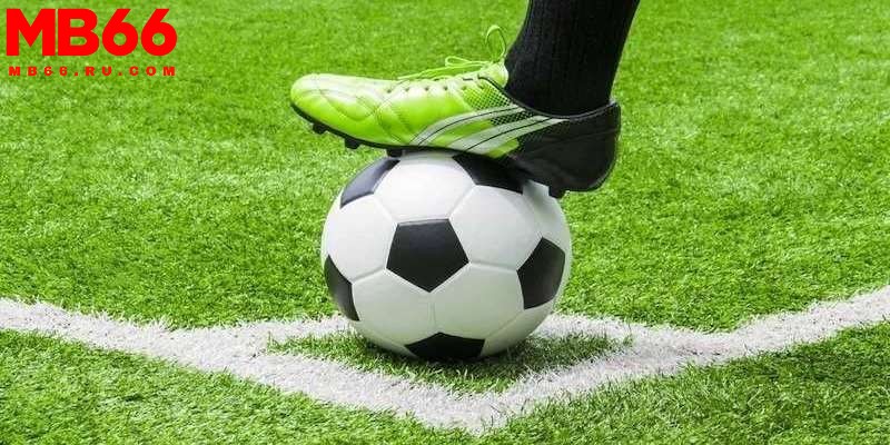 Soi kèo phạt góc: Những thông tin cần biết khi soi kèo 2 Cần phân tích các yếu tố quan trọng khi soi kèo phạt góc