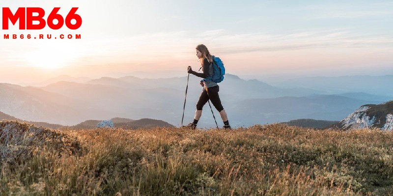 Mơ thấy đi lạc: Giải mã giấc mơ, tìm kiếm con số may mắn 4 Mơ đi lạc nên chọn đánh nhiều con số khác nhau