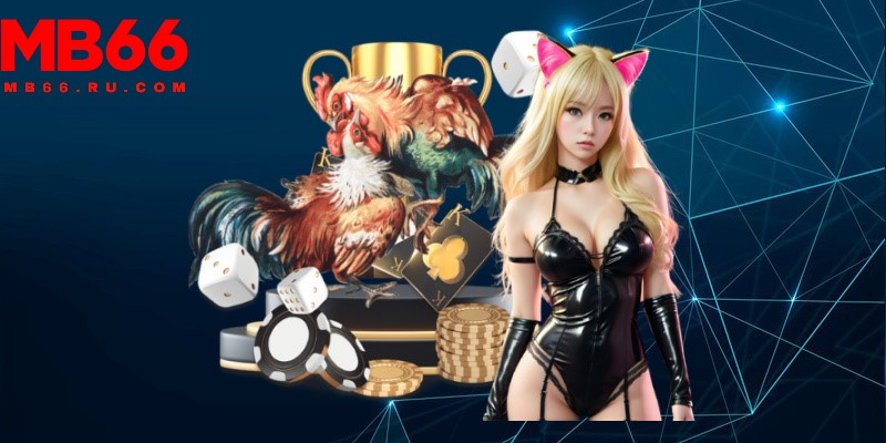 Mẹo đá gà dễ thắng được các cao thủ MB66 chia sẻ 2 Nên quan sát thật kỹ về chiến kê trước khi đặt cược đá gà